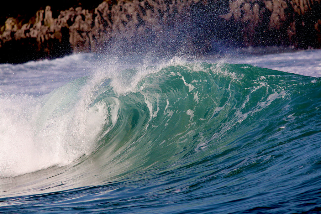 Sage + Seasalt