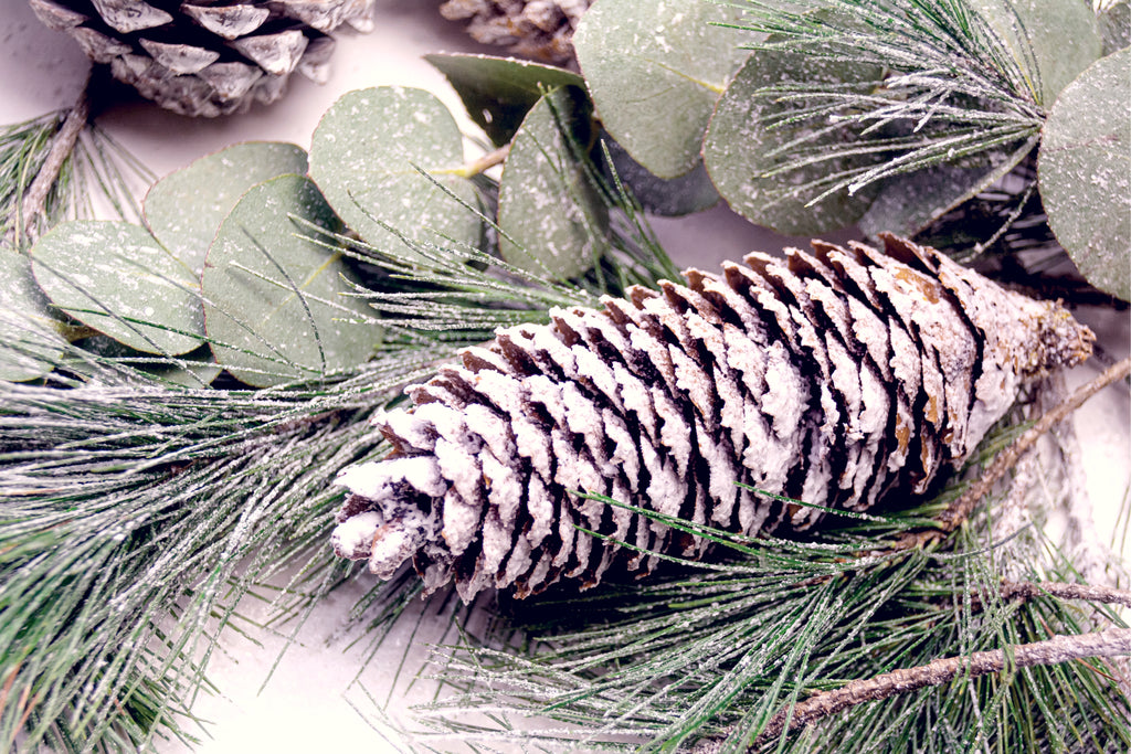 Fir Tree
